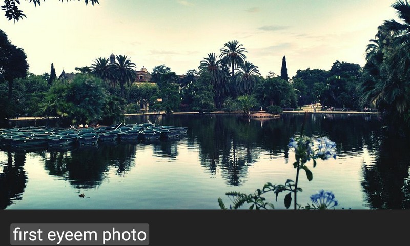 EyeEm, application de partage et marché autour de la photo