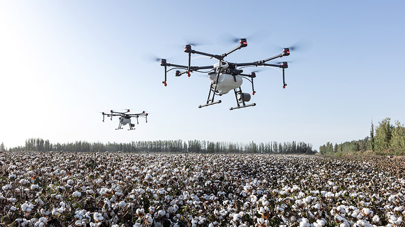 drones pour surveiller des champs en agriculture