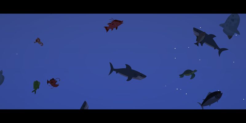 Requins et poissons